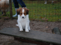 Und das ist eine Wippe?