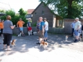 Gemischt 300616 006