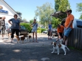 Gemischt 300616 016