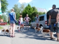 Gemischt 300616 020