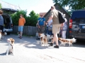 Gemischt 300616 025
