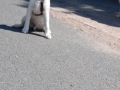 Gemischt 300616 026