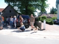 Gemischt 300616 029