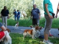 Gemischt 300616 057