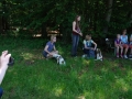 Gemischt 300616 061