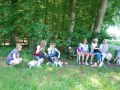 Gemischt 300616 062