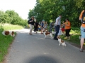 Gemischt 300616 064