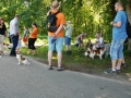 Gemischt 300616 066