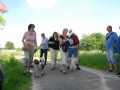 Gemischt 300616 073