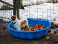 thumbs_Aldo-Import-120
