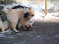 thumbs_Aldo-Import-186